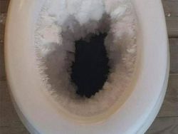 Potret Viral Dampak Ajaib Suhu Dingin Polar Vortex