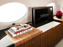 Mengintip Daleman Pesawat Elon Musk Untuk Manjakan Pacarnya