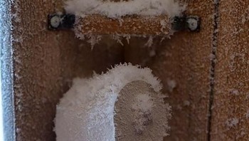 Kertas toilet juga tak luput jadi korban. Foto: boredpanda