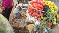 Selain pencinta kopi, Rocky Gerung agaknya penyuka fotografi. Ia memotret seorang bocah penjual buah. Pokhara, Nepal. Fenomenologi pagi, tulis lelaki yang gemar naik gunung itu. Foto: Twitter Rocky Gerung