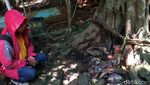 Potret Hutan di Banjar yang Lekat Nuansa Mistis