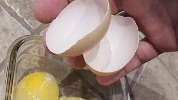 Telur beku ini enak tidak ya? Foto: boredpanda