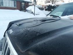 Potret Viral Dampak Ajaib Suhu Dingin Polar Vortex