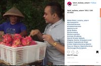 Waduh! Incess Lubis alias Fahrit Mufama Makan Buah Naga dan Kulitnya