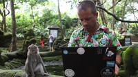 Jadi perantau digital, ada yang dari Afrika Selatan, Gert Schreuder, merasa terikat dengan Ubud, ia seorang pengembang perangkat lunak. Berada di jantung budaya Pulau Bali, ada kuil, sawah dan ukiran batu untuk dieksplor keberadaannya (BBC Capital)