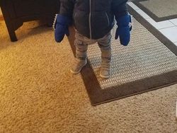 Potret Viral Dampak Ajaib Suhu Dingin Polar Vortex