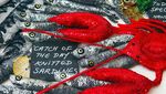 Gemas! Siapa Sangka Aneka Seafood Ini Terbuat dari Benang Wol dan Payet