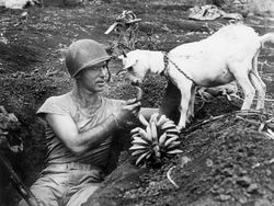 Kumpulan Potret Sejarah yang Humanis