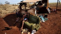 Oknum-oknum tersebut ingin menguasi tempat tinggal suku Guarani untuk dijadikan perkebunan kelapa sawit, perkebunan tebu, pabrik dan lain-lain. Diming-imingi tempat tinggal lain, meski ujung-ujungnya mendapat kehidupan yang tidak layak (Reuters)