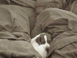 Kumpulan Potret Sejarah yang Humanis