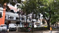 Penundaan pun tak jelas sampai kapan. Sebab, Pos Indonesia tidak memberikan kepastian waktu. Para pekerja pun tak tinggal diam. Pekerja menuntut perusahaan untuk segera menunaikan kewajibannya. Selain itu, para pekerja juga mendesak direksi mundur. Jika pembayaran gaji tak direalisasikan sesuai batas waktu yang ditentukan, Pak Pos bakal setop bekerja. Selain itu, pekerja akan menggelar aksi di Jakarta.