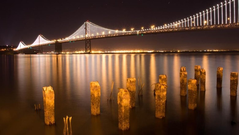 Foto: Shutterstock Foto: Shutterstock