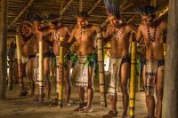 Suku Guarani (iStock)
