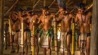 Tercatat, 400 suku tinggal di Amazon yang mana 100 suku belum terdata. Suku Guarani termasuk suku terbesar dengan banyak populasinya, tetapi sayang mereka terancam punah (iStock)