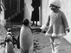 Kumpulan Potret Sejarah yang Humanis