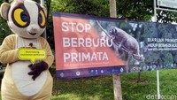 Seekor badut kukang besar turut hadir untuk semakin memeriahkan kegiatan edukasi melindungi primata Indonesia tersebut.