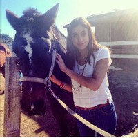 Tara Condell, ahli gizi muda berparas cantik yang sukses ini memutuskan untuk mengakhiri hidupnya dengan gantung diri. Sebelumnya, ia mengunggah catatan bunuh diri yang memilukan di situs blognya awal minggu ini. Foto: Dok. Instagram @taracondell