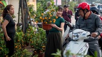 Warga membeli tanaman jeruk Kim Kit atau yang biasa disebut jeruk Imlek di kawasan Hanoi, Vietnam. Istimewa/Linh Pham/Getty Images.
