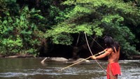 Suku Guarani hidup dengan berburu dan berkebun (iStock)