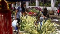 Uniknya, meski telah dipotong bunganya aroma harum yang dikeluarkan bunga tersebut dapat bertahan lama, bahkan hingga 10 hari setelah dipotong.
