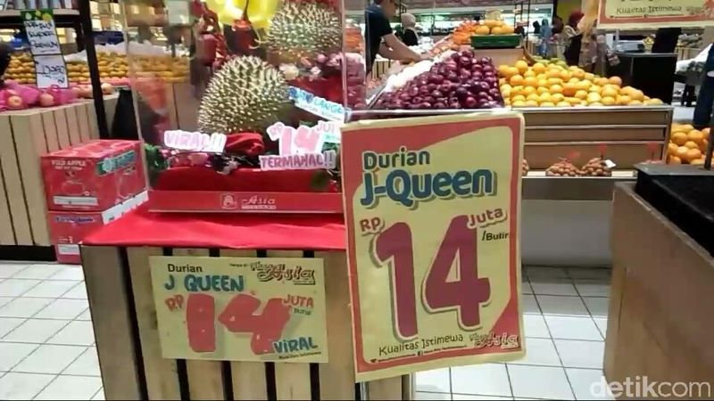 Rasa Durian J-Queen durian termahal