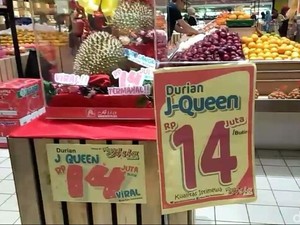 Siap-siap Kantong Terkuras, 5 Durian Termahal Ini Harganya Selangit!