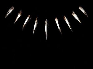 Siapa Pantas Jadi Black Panther?