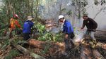 Potret Perjuangan Pemadaman Api di Kebakaran Hutan Dumai