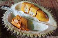 Download 7200 Koleksi Gambar Durian Pontianak Terbaru Gratis HD