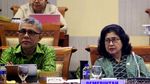 Menkes Nila Moeloek Bahas RUU Kebidanan Bersama DPR