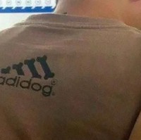 Adidog bukan Adidas. Logonya yang berbentuk garis-garis pun berganti tulang anjing. (Foto: Instagram/boredpanda)