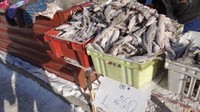 Kulinernya banyak pilihan kerang, udang, ikan segar dan beku. Tempat membeli makanan laut ada di Pasar Uspekh Yuzhno-Sakhalinsk (Miquel Ros/CNN Travel)