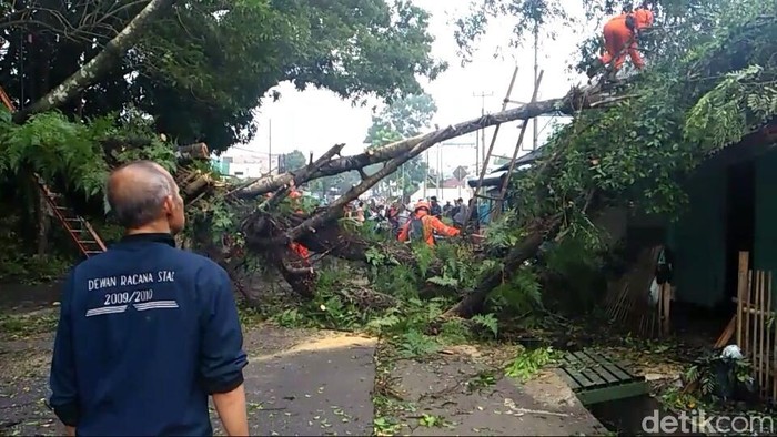 Pohon Tumbang, Jalan Kota Tasikmalaya Menuju Singaparna Terputus