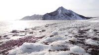 Pulau Terbesar Pinggiran Rusia Mulai Dibuka Bagi Turis
