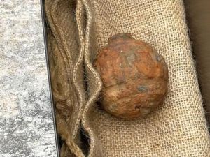 Granat Sisa Perang Dunia I Ditemukan di Antara Ribuan Kentang dari Prancis