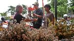 Laris Manis Bunga Sedap Malam Jelang Imlek