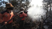 Petugas Manggala Agni memadamkan sisa api yang membakar semak belukar dan pepohonan akasia di kawasan hutan konservasi, Medang Kampai, Dumai, Riau, Minggu (3/2/2019) kemarin. ANTARA FOTO/Aswaddy Hamid.