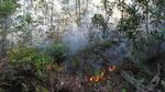 Potret Perjuangan Pemadaman Api di Kebakaran Hutan Dumai