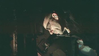 Foto astronot sebelum dilakukan pewarnaan ulang. Foto: NASA