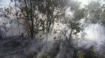 Potret Perjuangan Pemadaman Api di Kebakaran Hutan Dumai