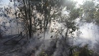 Semak belukar dan pepohonan akasia hangus terbakar di kawasan hutan konservasi, Medang Kampai, Dumai, Riau, Minggu (3/2/2019). ANTARA FOTO/Aswaddy Hamid.