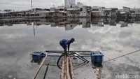 Petugas dari Sudin Sumber Daya Air Aliran sedang memeriksa mesin pompa air di kolam penampungan air kawasan Muara Angke, Jakarta, Senin (4/2/2019).