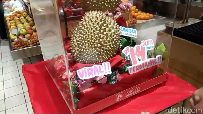 Rasa Durian J-Queen Rasa Durian J-Queen durian termahal