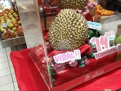 Begini Rasa dan Tekstur Durian J-Queen Rp 14 Juta yang Viral