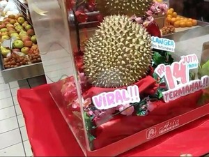 5 Fakta J-Queen, Durian Istimewa Asal Indonesia yang Terjual Rp 14 Juta!