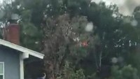 Sebuah video yang diunggah ke Twitter memperlihatkan sejumlah warga panik saat pesawat tersebut jatuh. Tampak juga warga coba memadamkan sayap pesawat yang terbakar menggunakan selang air. Hingga kini penyebab kecelakaan masih diselidiki. (Foto: Dok. Joshua Nelson/via REUTERS)