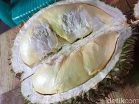Tak Kalah Nikmat, Ini 5 Durian dari Luar Jawa yang Manis Legit!