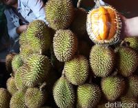 Kelzatan Durian Potianak Bikin Lidah Bergoyang Ketagihan