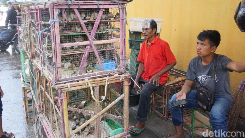 Cerita Samsul Untung Besar Jual Burung Pipit di Vihara Saat Imlek Cerita Samsul Untung Besar Jual Burung Pipit di Vihara Saat Imlek