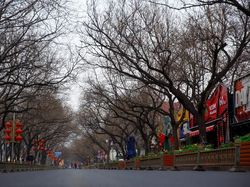 Potret Kota Hantu yang Ditinggal Saat Mudik Imlek